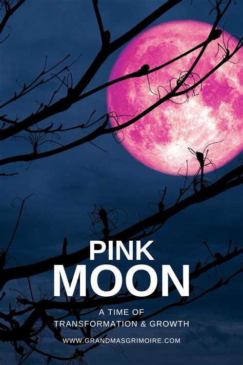 pink moon dates